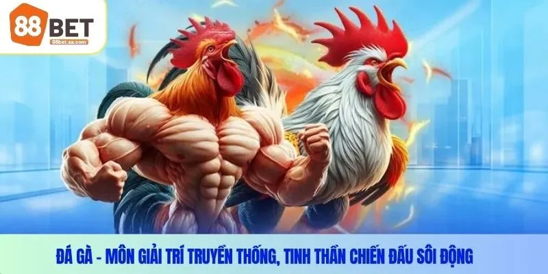 Đá gà – Môn giải trí truyền thống, tinh thần chiến đấu sôi động