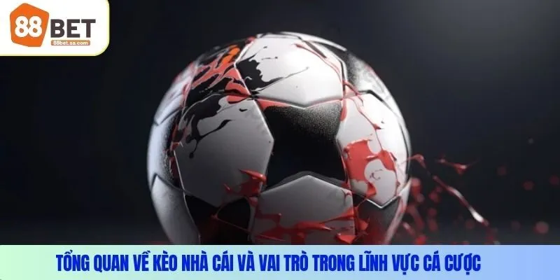 Tổng quan về kèo nhà cái và vai trò trong lĩnh vực cá cược